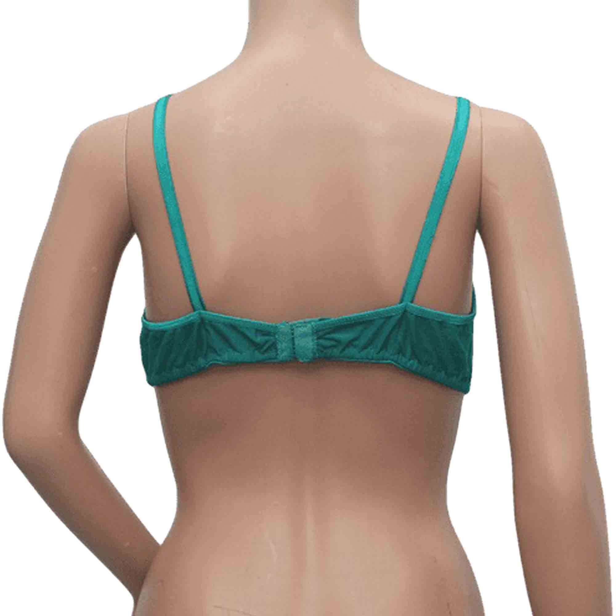 BRA DN-TOSHIBA (38/40)